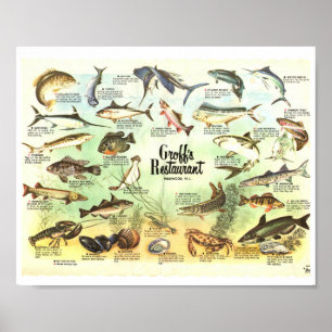 Groffs Tischset 8x10 Poster