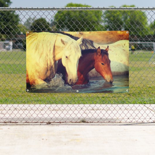 GROMMET VYNIL Banner (Insitu)
