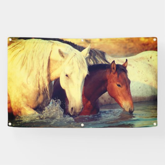 GROMMET VYNIL Banner (Horizontal)