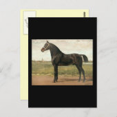 Groningen von Otto Eerelman Postkarte (Vorne/Hinten)