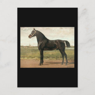 Groningen von Otto Eerelman Postkarte