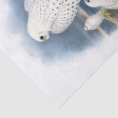 Grönland-Falke, dekoupage Seidenpapier (Ausschnitt)