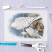 Grönland-Falke, dekoupage Seidenpapier (Handwerk)