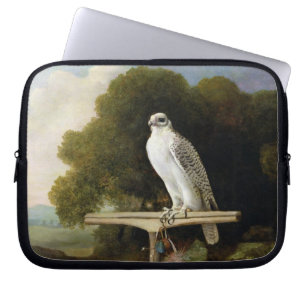 Grönland-Falke (grauer Falke), 1780 (Öl auf Plat Laptopschutzhülle