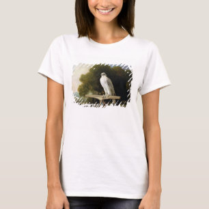 Grönland-Falke (grauer Falke), 1780 (Öl auf Plat T-Shirt