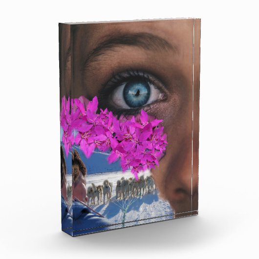 Grönland Fotoblock (Links)