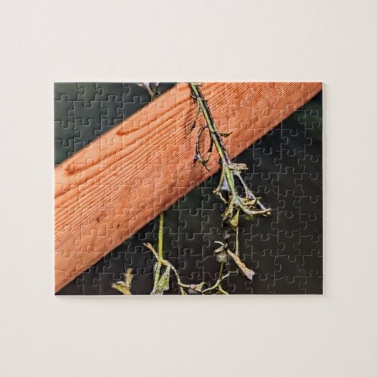 Grönland-Paddel-Puzzle Puzzle (Horizontal)