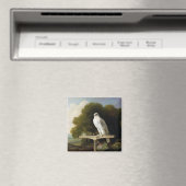 Grönlandfalke (Graufalke), 1780 (Öl auf Tafel) Magnet (In Situ (Geschirrspüler))