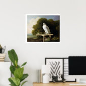 Grönlandfalke (Graufalke), 1780 (Öl auf Tafel) Poster (Heimbüro)