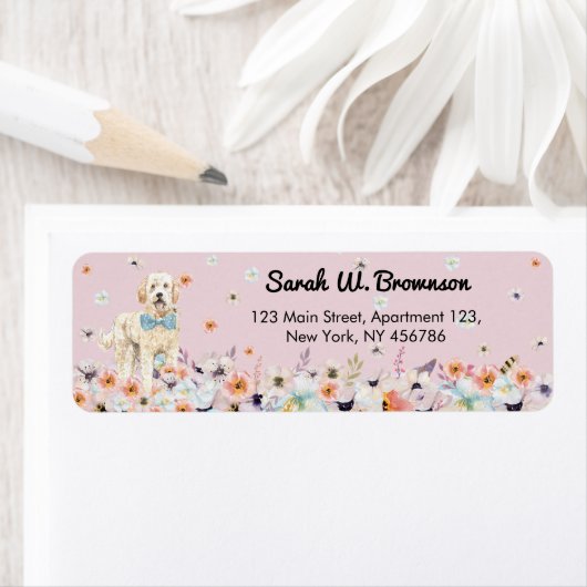 Groodle Goldendoodle Rosa Blume (Insitu)