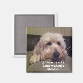 Groodle Magnet (Vorderseite/Rückseite)