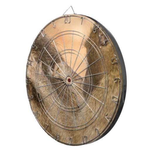 Grooming Baboons Dartscheibe (Vorderseite rechts)