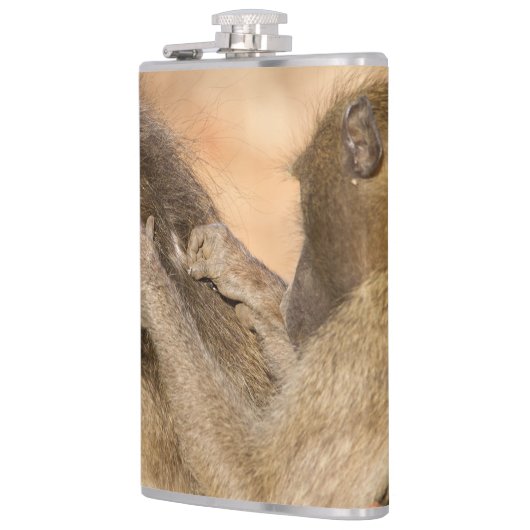 Grooming Baboons Flachmann (Links)