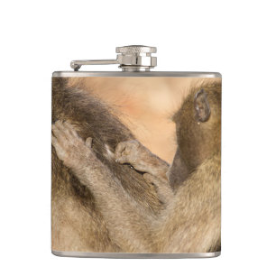 Grooming Baboons Flachmann