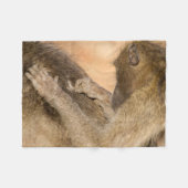 Grooming Baboons Fleecedecke (Vorderseite (Horizontal))