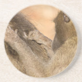 Grooming Baboons Getränkeuntersetzer (Vorne)