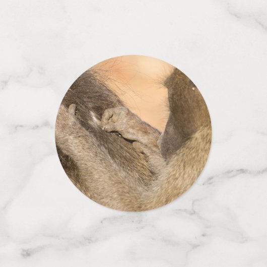 Grooming Baboons Konfetti (Klein Vorderseite)