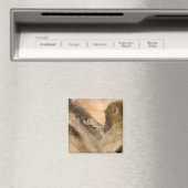 Grooming Baboons Magnet (In Situ (Geschirrspüler))