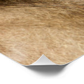 Grooming Baboons Poster (Ecke)