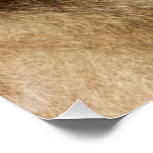 Grooming Baboons Poster (Ecke)