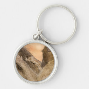 Grooming Baboons Schlüsselanhänger