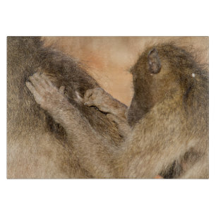 Grooming Baboons Schneidebrett