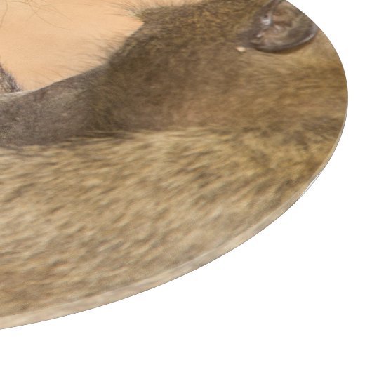 Grooming Baboons Schneidebrett (Ecke)