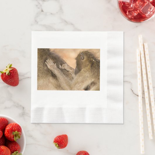 Grooming Baboons Serviette (Beispiel)