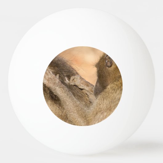 Grooming Baboons Tischtennisball (Rückseite)