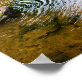Grooming Ducks 2 Poster (Ecke)