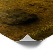 Grooming Ducks 2 Poster (Ecke)