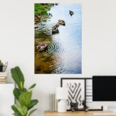 Grooming Ducks 2 Poster (Heimbüro)