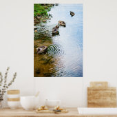 Grooming Ducks 2 Poster (Küche)