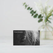 Grooming Horse Visitenkarte (Stehend Vorderseite)