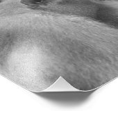 Grooming Sunda Pigschwanzmakaques - Foto drucken (Ecke)