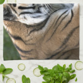 Grooming Tiger Handtuch (Gefaltet)