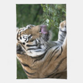 Grooming Tiger Handtuch (Vertikal)