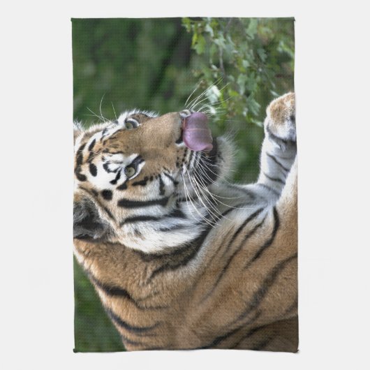 Grooming Tiger Handtuch (Vertikal)