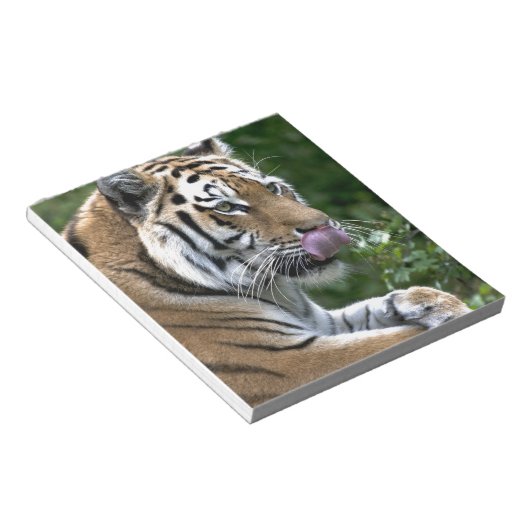 Grooming Tiger Notizblock (angewinkelt)