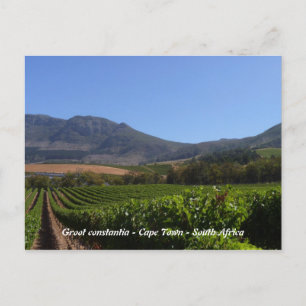 Groot Constantia - Kapstadt - Südafrika Postkarte