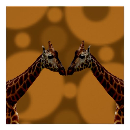 Groovy Giraffen A Go, Poster (Vorderseite)