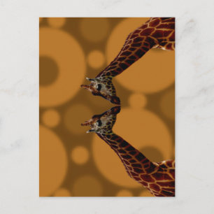 Groovy Giraffen A Go, Postkarte