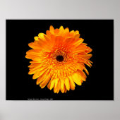 Groovy Poster (Vorne)