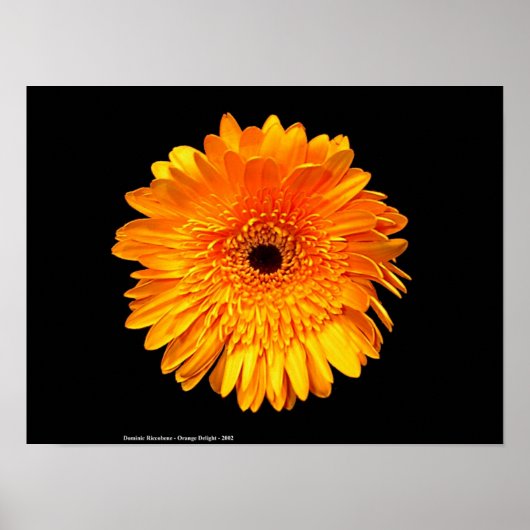 Groovy Poster (Vorne)