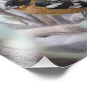 Grosbeak Fotodruck (Ecke)