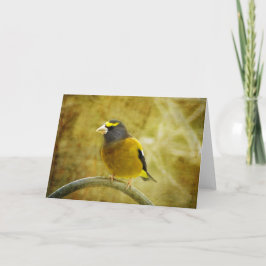 Grosbeak Grußkarte für texturierten Abend Karte