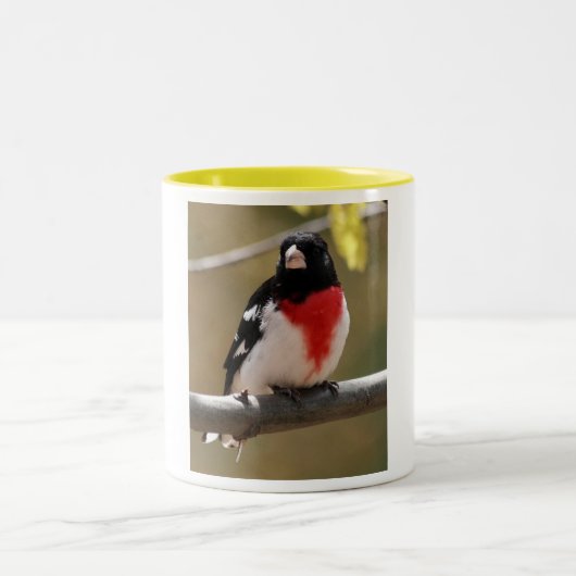 Grosbeak-Kaffee-Tasse Zweifarbige Tasse (Mittel)