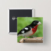 Grosbeak mit Rose Button (Vorne & Hinten)