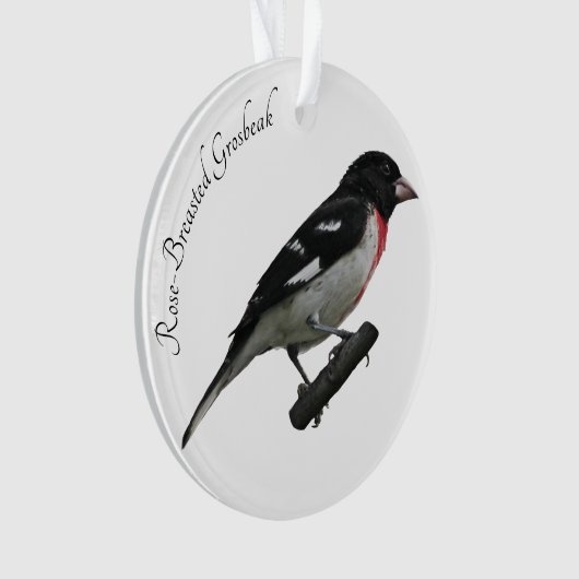 Grosbeak mit Rose Ornament (Vorderseite)
