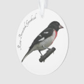 Grosbeak mit Rose Ornament (Vorderseite)